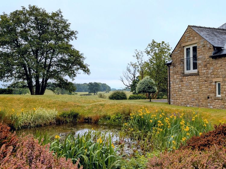 High View Meadows, listing photograph 4