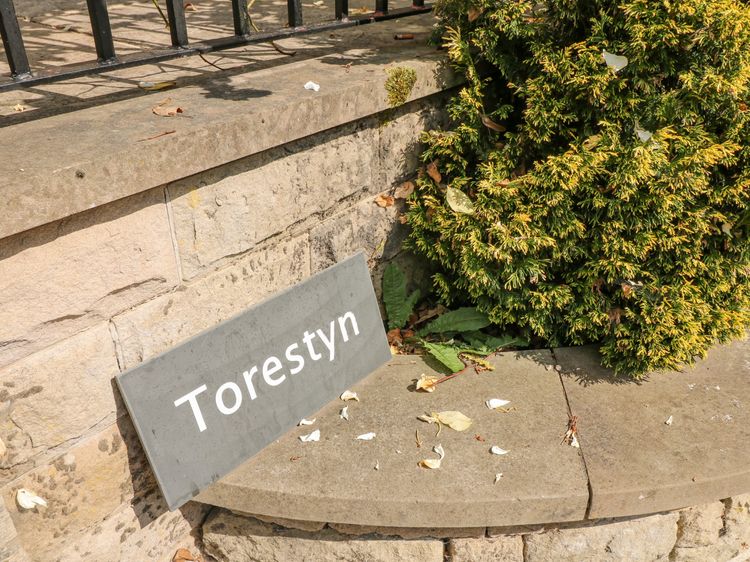 Torestyn, listing photograph 2