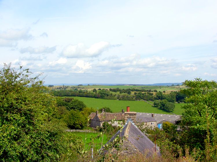 Nuffies Cottage, listing photograph 8