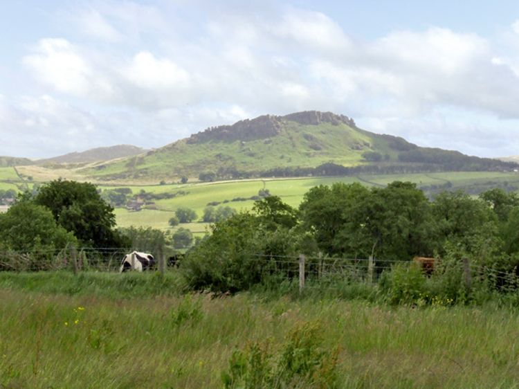 Honeystone, listing photograph 8