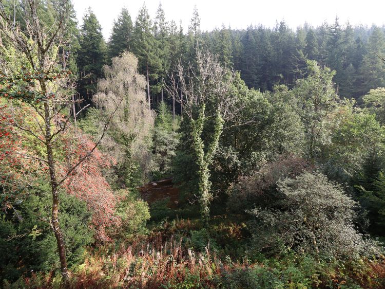Bryn Cemlyn, listing photograph 3