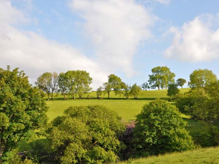 Hendre Aled Cottage 1, listing photograph 10