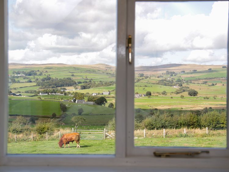 Bryn Dedwydd Cottage, listing photograph 12