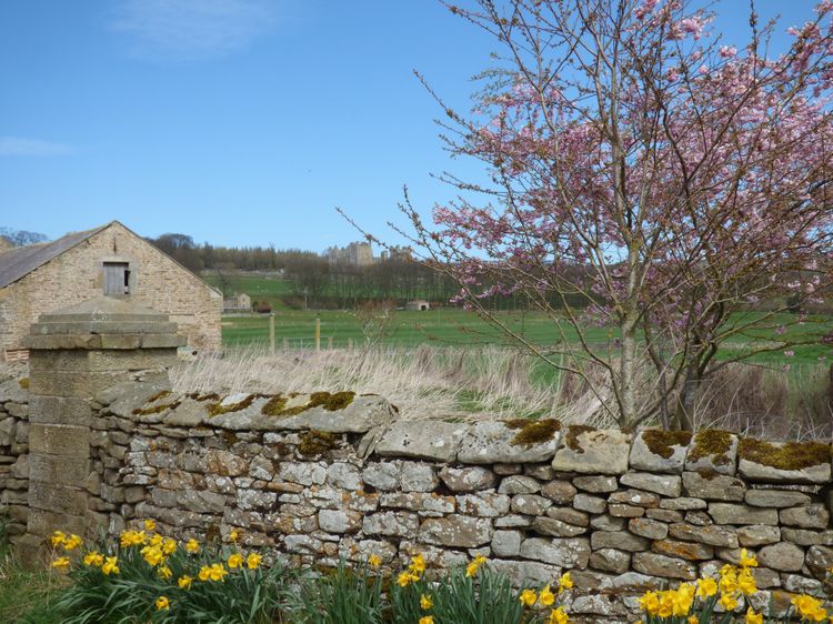 Hope Cottage, listing photograph 12