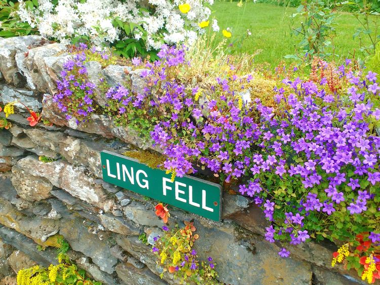 Ling Fell Cottage, listing photograph 2