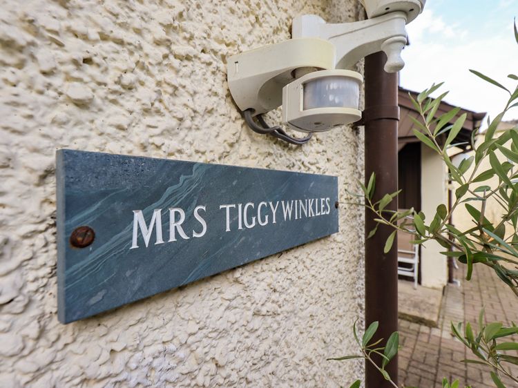 Mrs Tiggywinkles, listing photograph 2