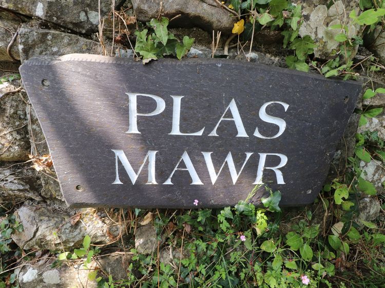 Plas Mawr, listing photograph 4