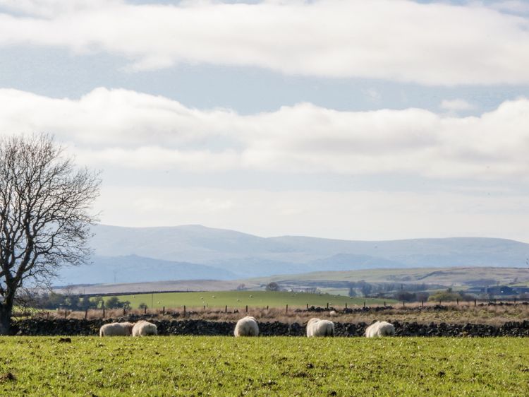 5 Ceirnioge Cottages, listing photograph 12