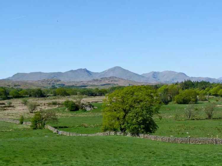 The Crook, listing photograph 8