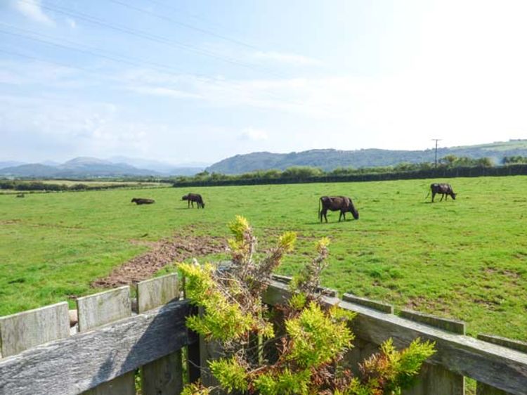 Muncaster View, listing photograph 11