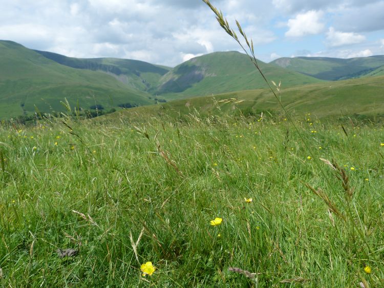 Howgill Cottage, listing photograph 12